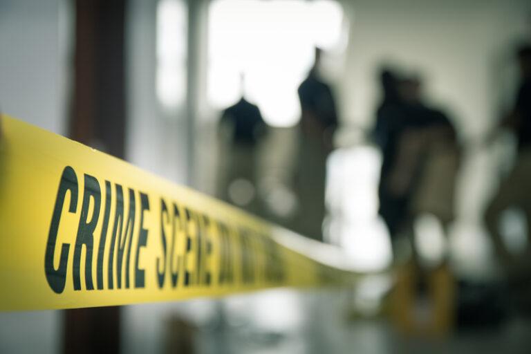 Young Boy Killed by Mother During Disneyland Trip