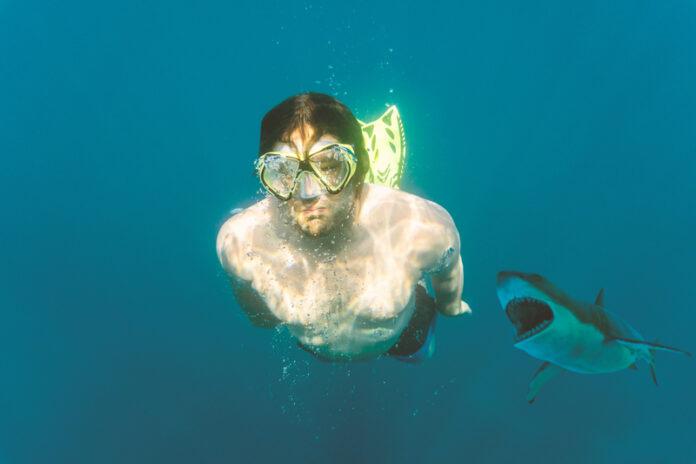Diver Was Warned: Decapitated After Fatal Shark Attack