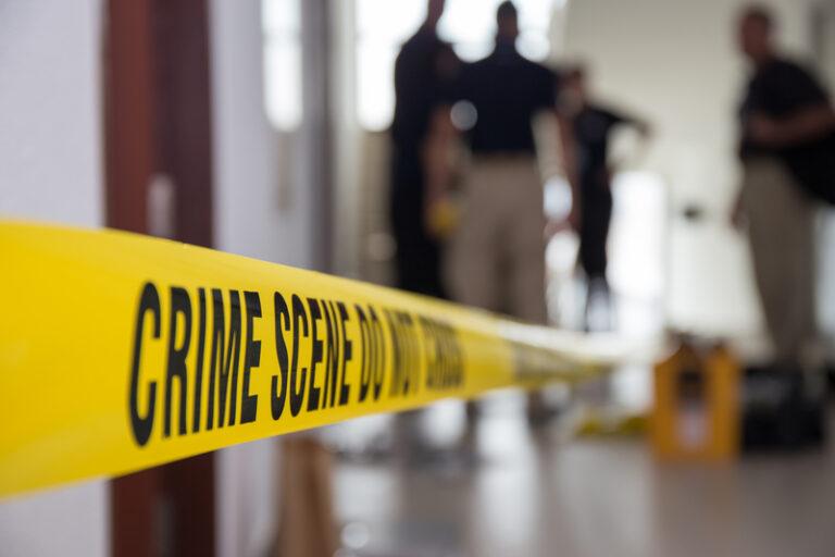Woman Murdered By Husband While on Zoom Work Call