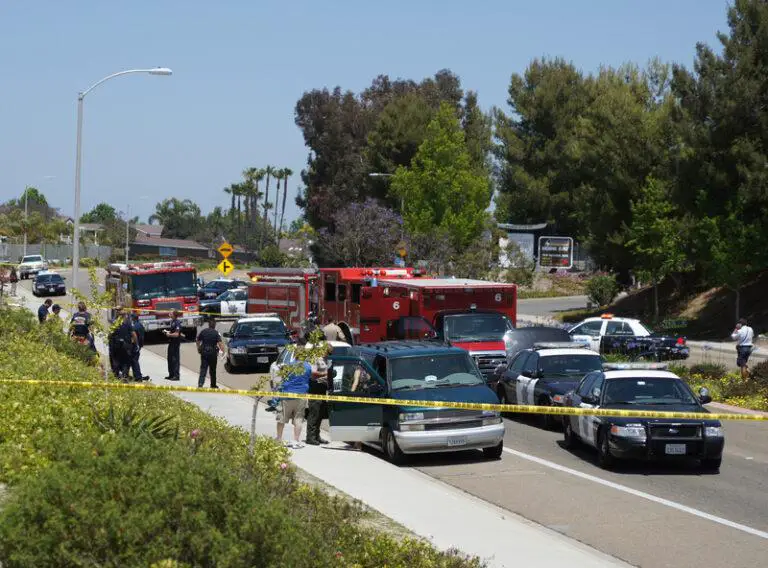 Speeding Tesla Driver Kills Two People and a Dog