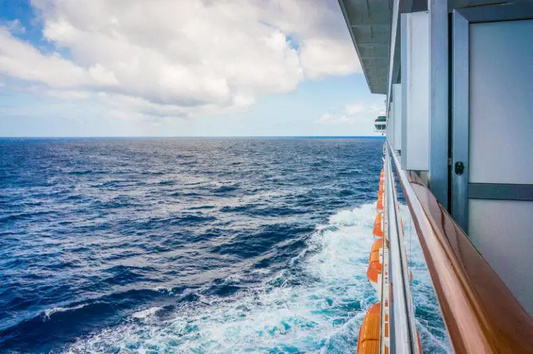 Passenger Falls Overboard on Cruise Ship