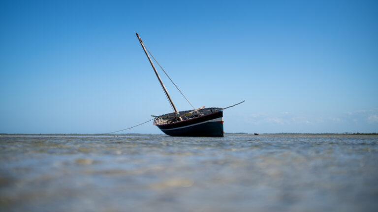 Over 100 Dead in Tidal Wave Disaster