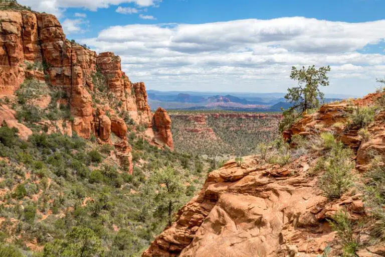 Mom Falls to Her Death During Family Hiking Trip