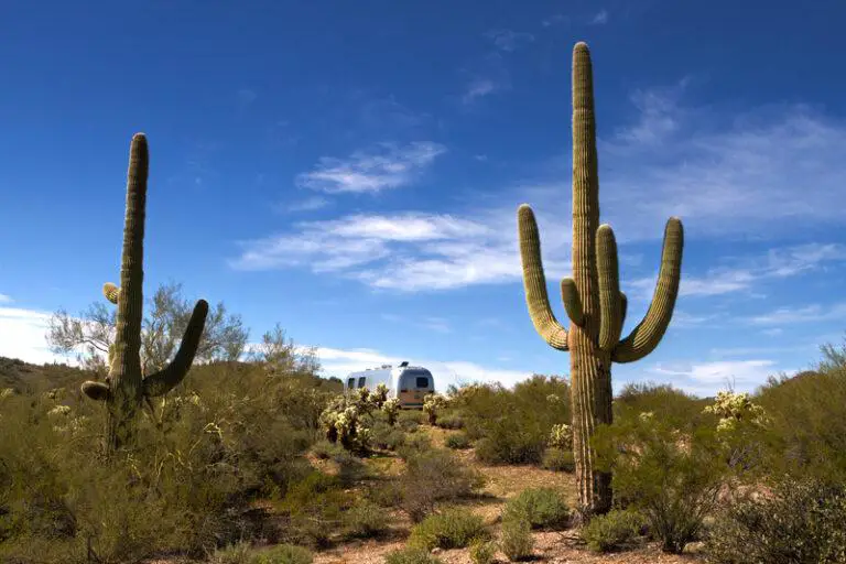 Savannah Guthrie’s Bold Move to Find Missing Mother