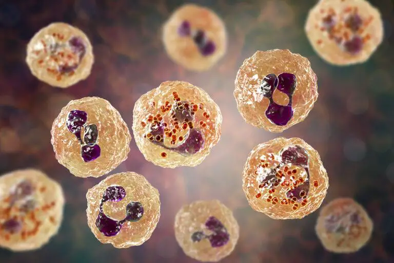 2 Die, Dozens Fall Sick in University Virus Outbreak