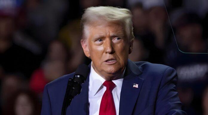 Trump Stabs VP Vance in the Back